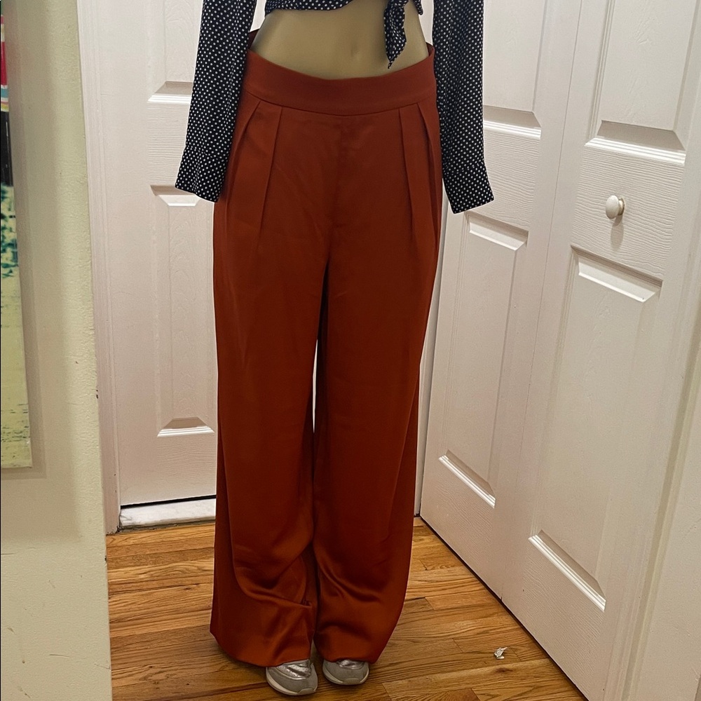 Banana Republic Wide-Leg Pants in Rust